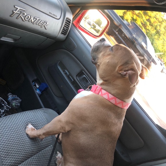 Meet your Posher, Andre - Picture 1 of 1